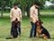 German shepherd puppies for sale, german shepherd breeders california, personal protection dogs, trained german shepherds for sale